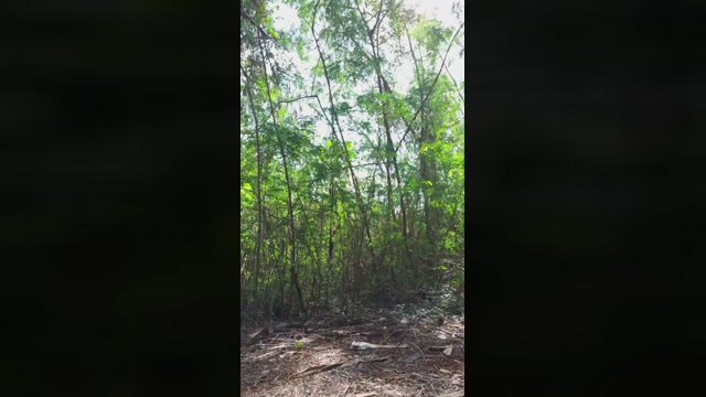 Synbaherrera  04-10-2022